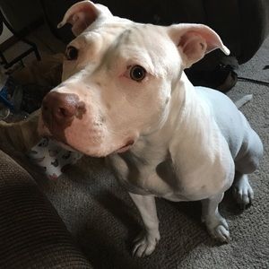 Meet your Posher, Dylan